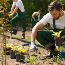 Prix horaire  artisan Jardinier Tarif moyen & Coût de pose | 2020